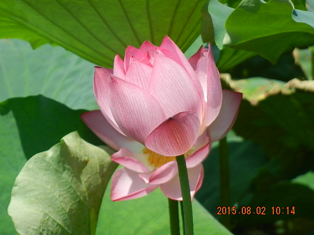 DSCN9049.JPG