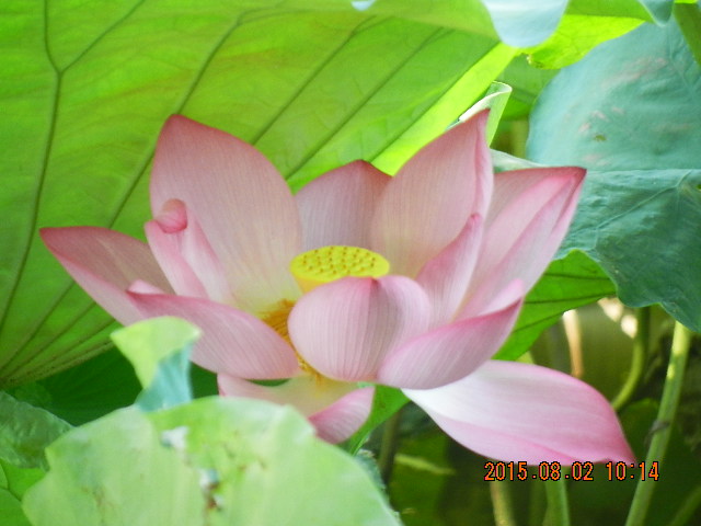 DSCN9051.JPG