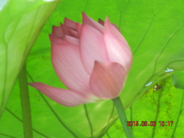 DSCN9052.JPG