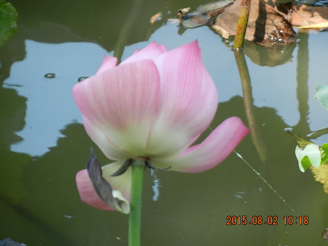 DSCN9055.JPG