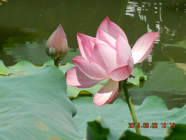 DSCN9056.JPG