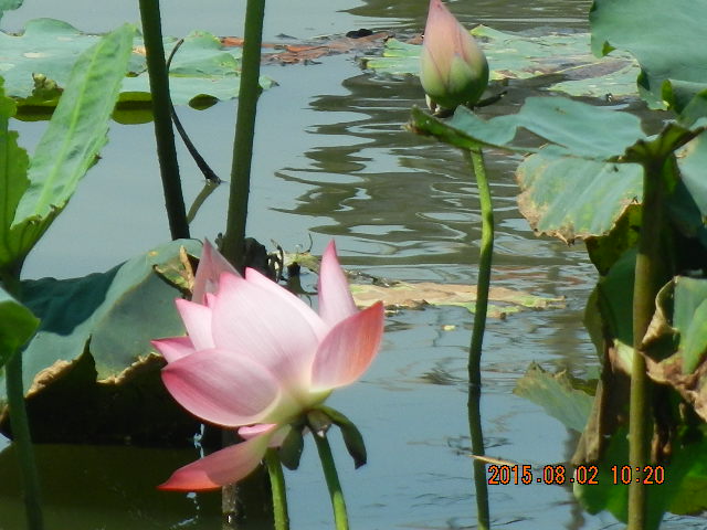 DSCN9059.JPG