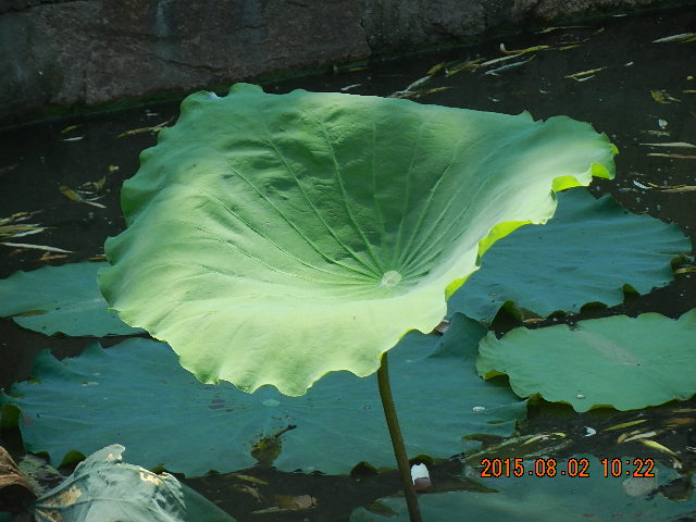 DSCN9061.JPG