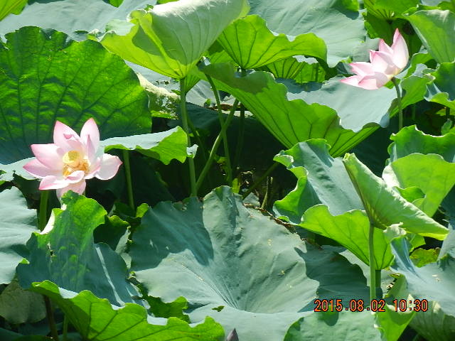 DSCN9067.JPG