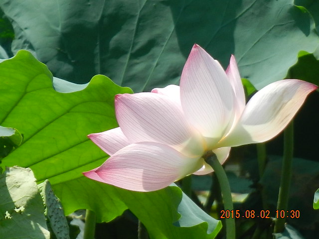 DSCN9069.JPG