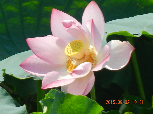 DSCN9073.JPG