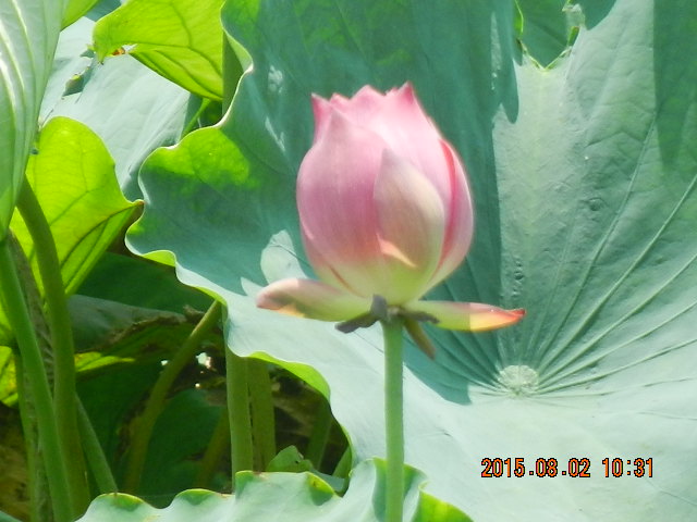 DSCN9077.JPG