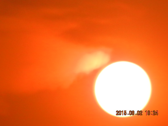 DSCN9082.JPG
