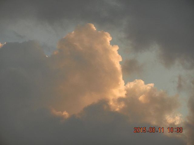 DSCN9111.JPG