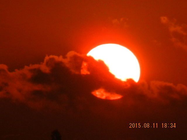 DSCN9117.JPG