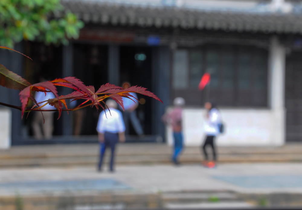 _DSC0357.jpg