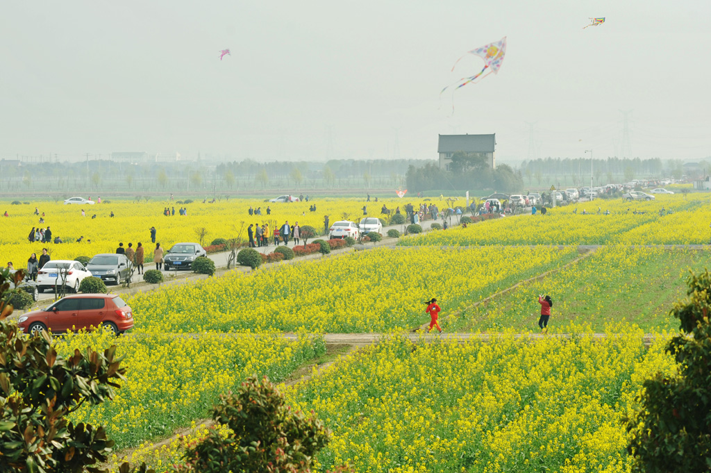 DSC_4304-1.jpg