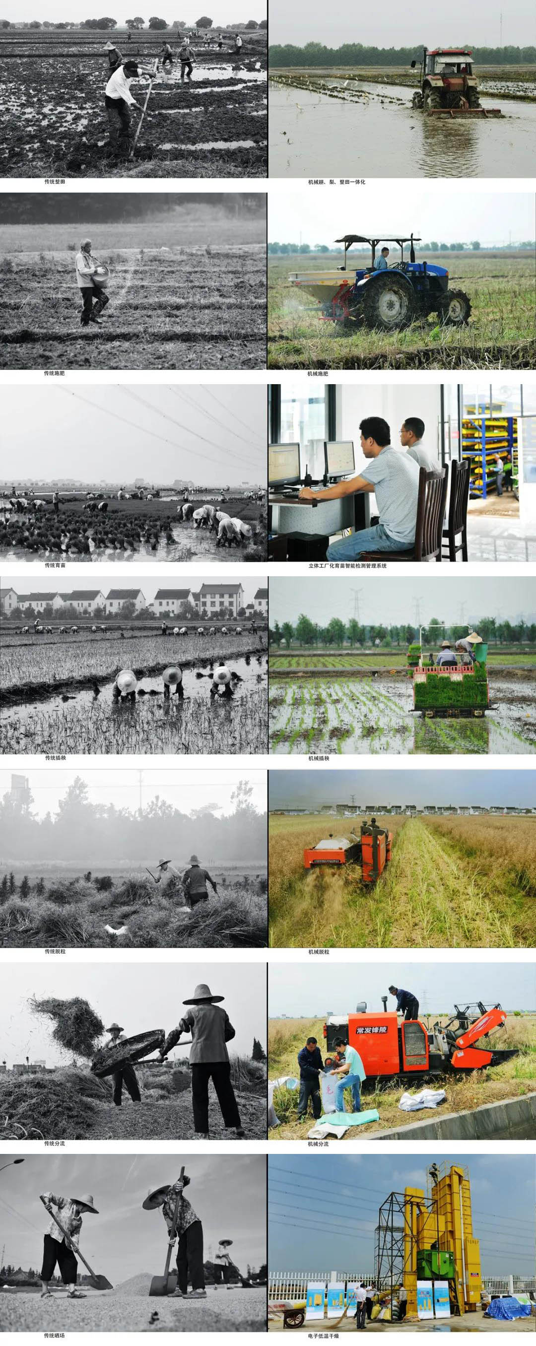 《农业生产-传统与机械》（组照）许金荣.jpg