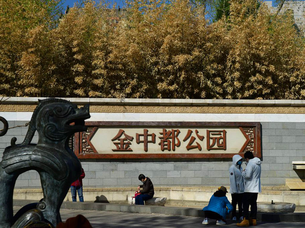 D03_7669.jpg