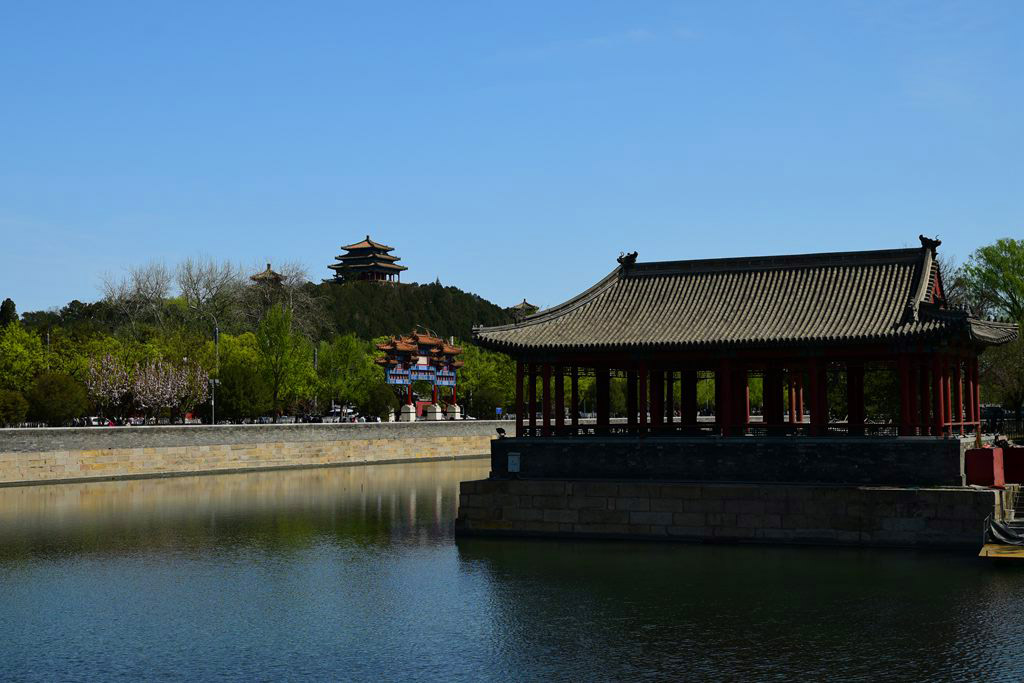 D04_7980.jpg